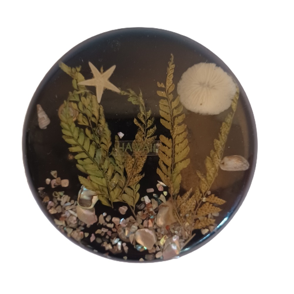 Hawaii Resin Fern Starfish Shell Decor - Picture 2 of 3